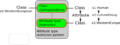 Thumbnail for version as of 16:03, 27 November 2009